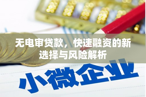 修武无电审贷款，快速融资的新选择与风险解析