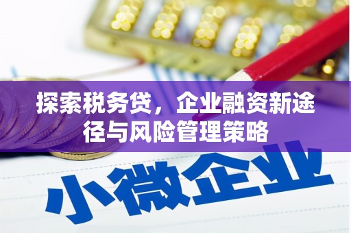 修武探索税务贷，企业融资新途径与风险管理策略