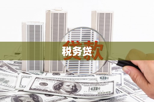 修武税务贷