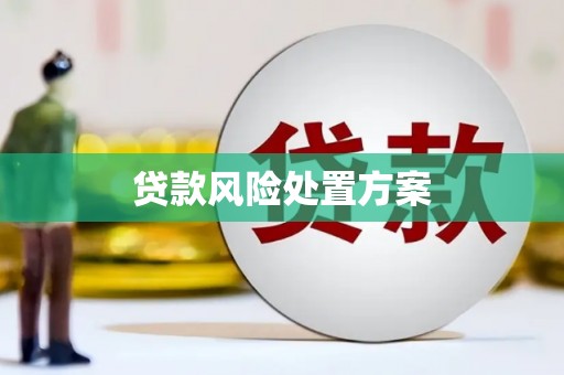 修武贷款风险处置方案