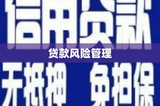 修武贷款风险管理