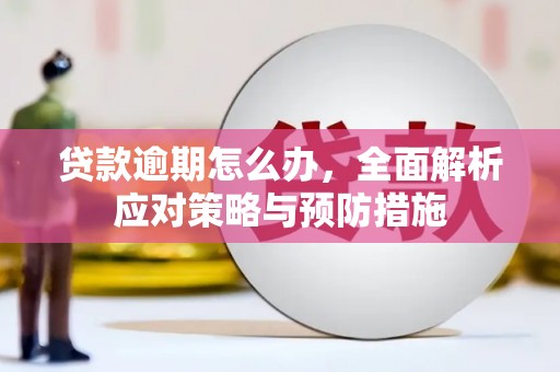 修武贷款逾期怎么办，全面解析应对策略与预防措施