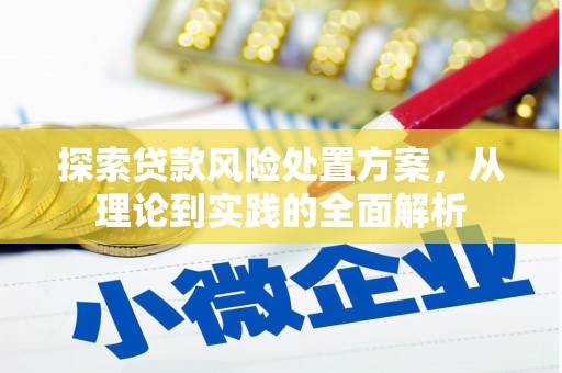 修武探索贷款风险处置方案，从理论到实践的全面解析