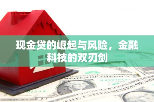 修武现金贷的崛起与风险，金融科技的双刃剑