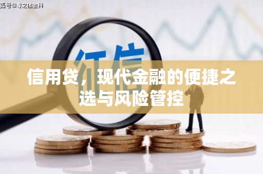 修武信用贷，现代金融的便捷之选与风险管控