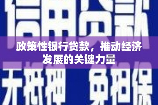 修武政策性银行贷款，推动经济发展的关键力量