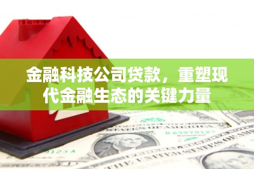 修武金融科技公司贷款，重塑现代金融生态的关键力量
