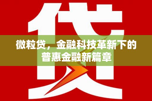 修武微粒贷，金融科技革新下的普惠金融新篇章