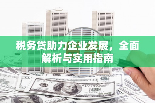 修武税务贷助力企业发展，全面解析与实用指南