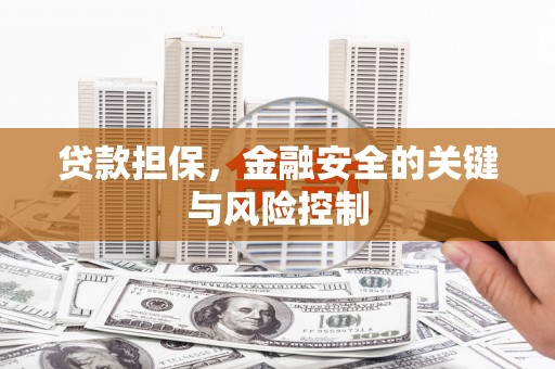 修武贷款担保，金融安全的关键与风险控制