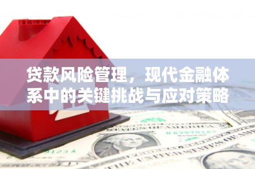 修武贷款风险管理，现代金融体系中的关键挑战与应对策略