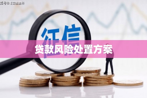 修武贷款风险处置方案