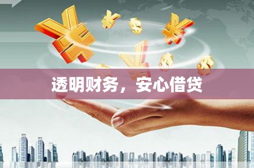 修武透明财务，安心借贷