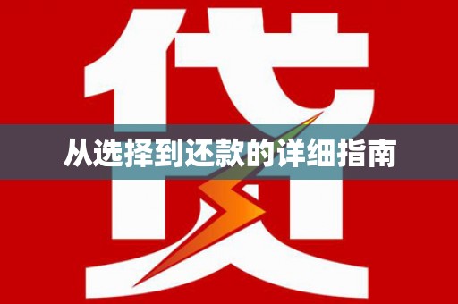 修武从选择到还款的详细指南