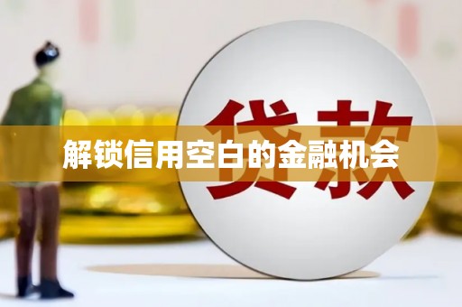 修武解锁信用空白的金融机会
