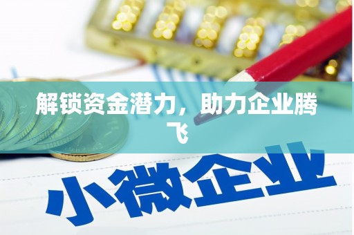 修武解锁资金潜力，助力企业腾飞