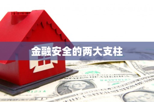 修武金融安全的两大支柱
