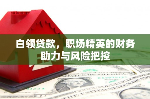 修武白领贷款，职场精英的财务助力与风险把控